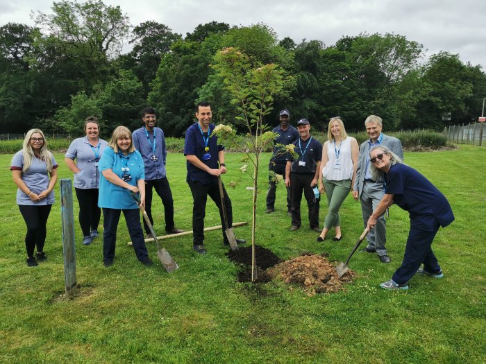 SHSC sustainability week, trees, woodland view, nhs forest, NHS, environment