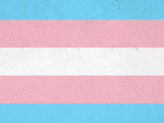 Transgender flag