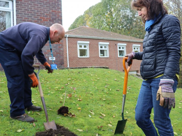 East Glade tree planting