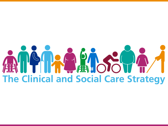 The clinical and social care strategy