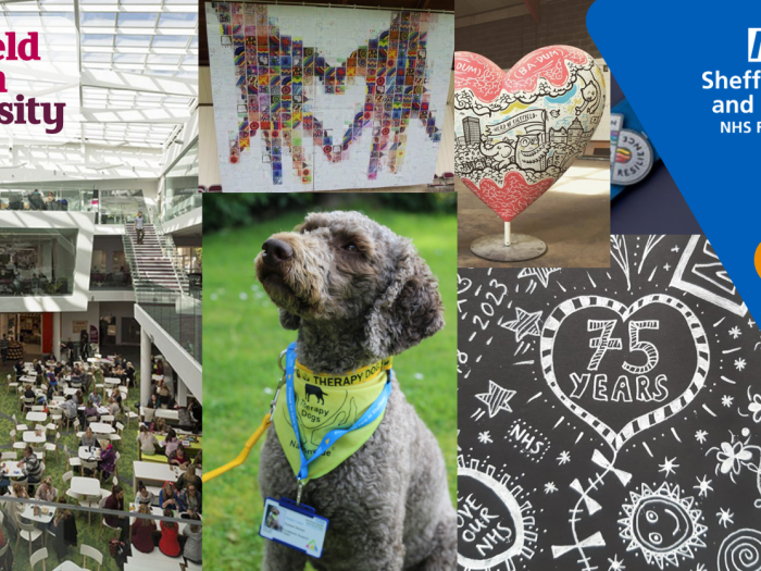 NHS 75 birthday graphic featuring love heart artwork, Sheffield Hallam and a light brown service dog wearing a yellow bandana around its neck.