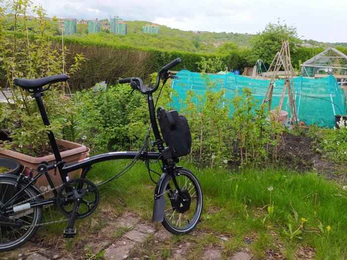 Folding bike in an allotment