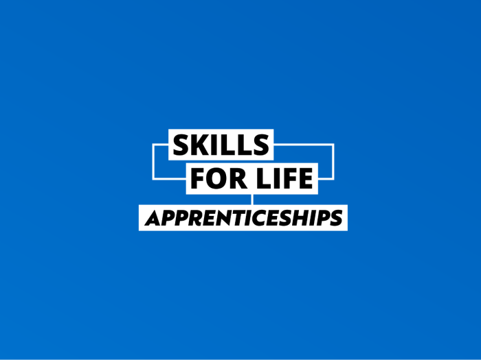 A graphic with a blue background. In the centre, text says: SKILLS FOR LIFE, APPRENTICESHIPS