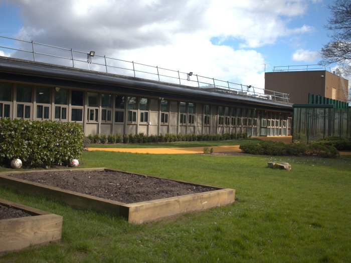 Garden and raised beds for planting