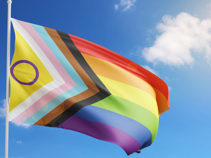 Progress flag