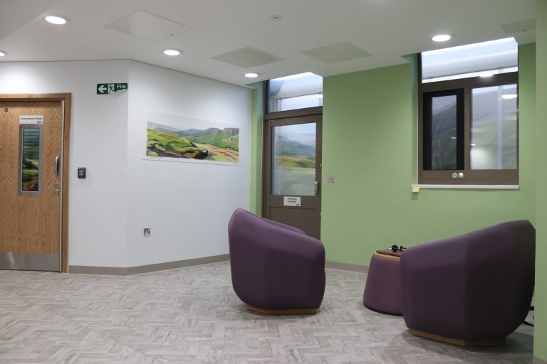 Communal area with two purple chairs and green walls