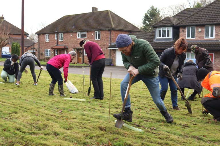 People planting trees