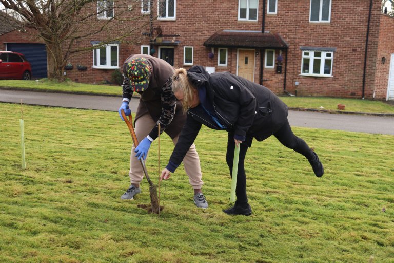 People planting trees