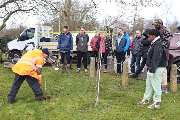 People planting trees