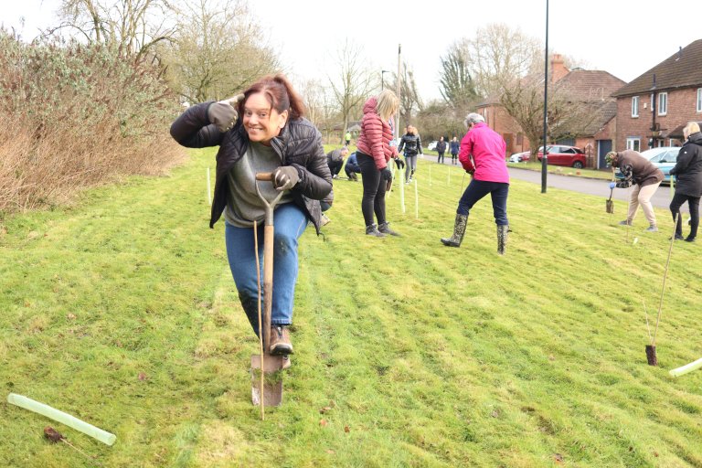 People planting trees