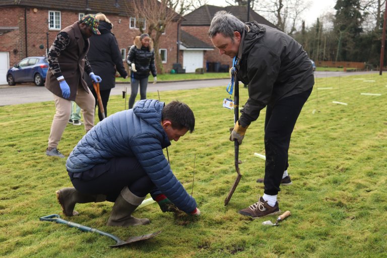 People planting trees