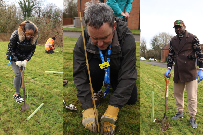 People planting trees