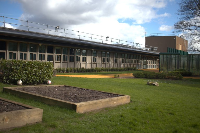 Garden and raised beds for planting