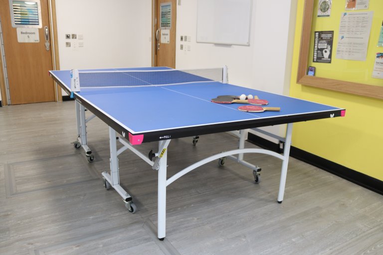 Table tennis table